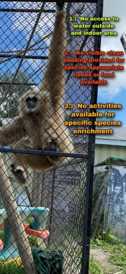 Dawn Animal Agency Evidence