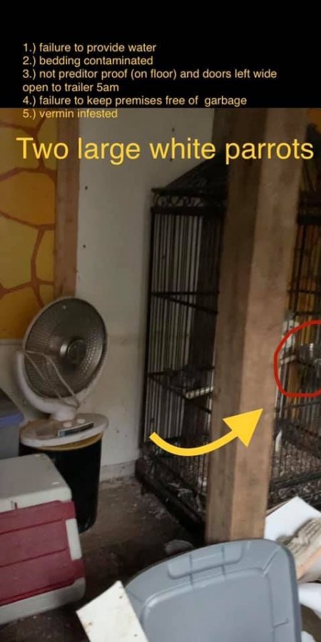 Dawn Animal Agency Evidence