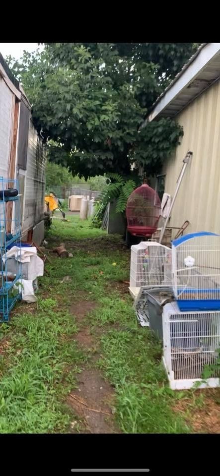 Dawn Animal Agency Evidence