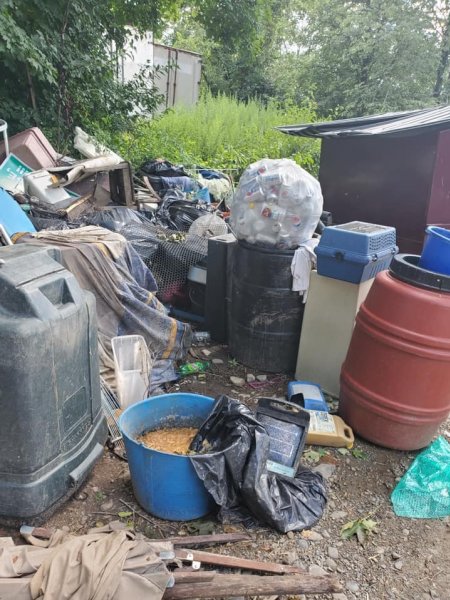 Dawn Animal Agency Evidence