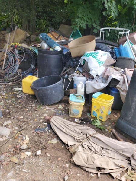 Dawn Animal Agency Evidence