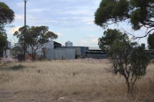 Piggery sheds outside in daylight - Australian pig farming - Captured at Andgar Piggery, Dublin SA Australia.