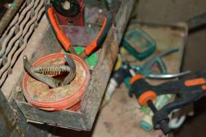 Piggery equipment - Captured at Andgar Piggery, Dublin SA Australia.