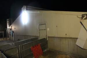 Door to dry sow shed from outside - Roseworthy Piggery is a research facility belonging to the University of Adelaide’s Roseworthy Campus. - Captured at Roseworthy Piggery, Wasleys SA Australia.
