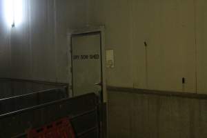 Dry sow shed from outside - Roseworthy Piggery is a research facility belonging to the University of Adelaide’s Roseworthy Campus. - Captured at Roseworthy Piggery, Wasleys SA Australia.