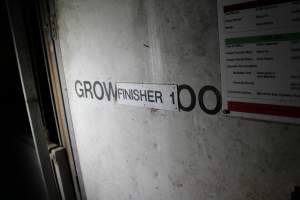 Finisher 1 shed door - Roseworthy Piggery is a research facility belonging to the University of Adelaide’s Roseworthy Campus. - Captured at Roseworthy Piggery, Wasleys SA Australia.