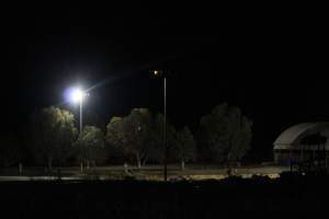 Big River Pork slaughterhouse at night - Captured at Big River Pork Abattoir, Brinkley SA Australia.