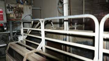 Race leading to gas chamber for pigs - Butina Combi 44 carbon dioxide gas chamber for 'controlled atmosphere killing' of pigs - Captured at JBS Pork Australia (formerly Diamond Valley Pork), Laverton North VIC Australia.