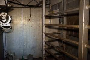 Knockbox for cattle and large pigs - Gretna Quality Meats, Tasmania - Captured at Gretna Meatworks, Gretna TAS Australia.