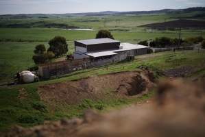Outside from hill - Gretna Quality Meats, Tasmania. Appears to be daytime but actually shot at night with long exposure. - Captured at Gretna Meatworks, Gretna TAS Australia.