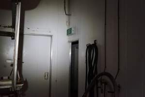 Doors within processing room - Gretna Quality Meats, Tasmania - Captured at Gretna Meatworks, Gretna TAS Australia.