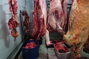 Carcasses in slaughterhouse chiller room - Gretna Quality Meats, Tasmania - Captured at Gretna Meatworks, Gretna TAS Australia.