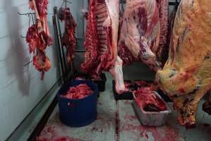 Carcasses in slaughterhouse chiller room - Gretna Quality Meats, Tasmania - Captured at Gretna Meatworks, Gretna TAS Australia.