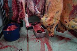 Carcasses in slaughterhouse chiller room - Gretna Quality Meats, Tasmania - Captured at Gretna Meatworks, Gretna TAS Australia.