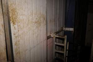 Sliding door into processing room - Gretna Quality Meats, Tasmania - Captured at Gretna Meatworks, Gretna TAS Australia.