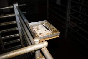 Tray with knife and bolt gun bullets next to kill pen - Gretna Quality Meats, Tasmania - Captured at Gretna Meatworks, Gretna TAS Australia.