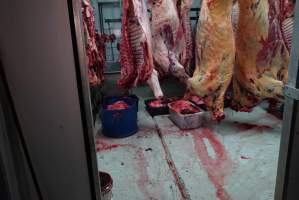 Carcasses in slaughterhouse chiller room - Gretna Quality Meats, Tasmania - Captured at Gretna Meatworks, Gretna TAS Australia.
