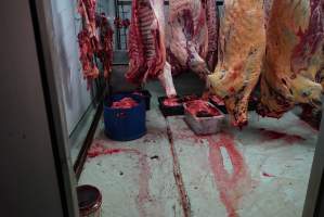 Carcasses in slaughterhouse chiller room - Gretna Quality Meats, Tasmania - Captured at Gretna Meatworks, Gretna TAS Australia.