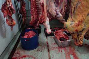 Carcasses in slaughterhouse chiller room - Gretna Quality Meats, Tasmania - Captured at Gretna Meatworks, Gretna TAS Australia.