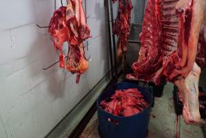 Carcasses in slaughterhouse chiller room - Gretna Quality Meats, Tasmania - Captured at Gretna Meatworks, Gretna TAS Australia.