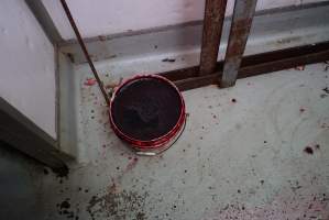 Bucket of blood in slaughterhouse chiller room - Gretna Quality Meats, Tasmania - Captured at Gretna Meatworks, Gretna TAS Australia.