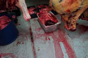 Carcasses in slaughterhouse chiller room - Gretna Quality Meats, Tasmania - Captured at Gretna Meatworks, Gretna TAS Australia.