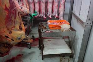 Carcasses in slaughterhouse chiller room - Gretna Quality Meats, Tasmania - Captured at Gretna Meatworks, Gretna TAS Australia.