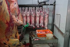 Carcasses in slaughterhouse chiller room - Gretna Quality Meats, Tasmania - Captured at Gretna Meatworks, Gretna TAS Australia.