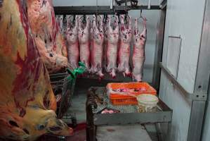Carcasses in slaughterhouse chiller room - Gretna Quality Meats, Tasmania - Captured at Gretna Meatworks, Gretna TAS Australia.