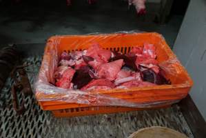 Tray of offal in slaughterhouse chiller room - Gretna Quality Meats, Tasmania - Captured at Gretna Meatworks, Gretna TAS Australia.