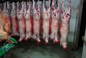 Carcasses in slaughterhouse chiller room - Gretna Quality Meats, Tasmania - Captured at Gretna Meatworks, Gretna TAS Australia.