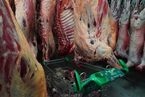 Carcasses in slaughterhouse chiller room - Trolley full of sheep heads. Gretna Quality Meats, Tasmania - Captured at Gretna Meatworks, Gretna TAS Australia.