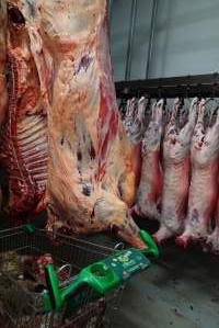 Carcasses in slaughterhouse chiller room - Trolley full of sheep heads. Gretna Quality Meats, Tasmania - Captured at Gretna Meatworks, Gretna TAS Australia.
