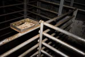 Tray with knife and bolt gun bullets next to kill pen - Holding pens in background - Captured at Gretna Meatworks, Gretna TAS Australia.