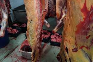 Carcasses in slaughterhouse chiller room - Gretna Quality Meats, Tasmania - Captured at Gretna Meatworks, Gretna TAS Australia.