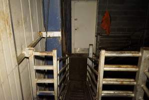Ramp leading up to kill pen - Gretna Quality Meats, Tasmania - Captured at Gretna Meatworks, Gretna TAS Australia.