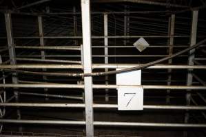 Holding pens - Gretna Quality Meats, Tasmania - Captured at Gretna Meatworks, Gretna TAS Australia.
