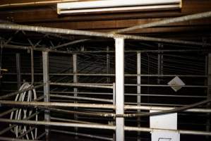 Holding pens - Gretna Quality Meats, Tasmania - Captured at Gretna Meatworks, Gretna TAS Australia.