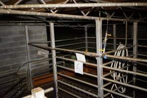 Holding pens - Gretna Quality Meats, Tasmania - Captured at Gretna Meatworks, Gretna TAS Australia.