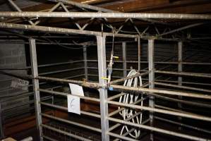 Holding pens - Gretna Quality Meats, Tasmania - Captured at Gretna Meatworks, Gretna TAS Australia.