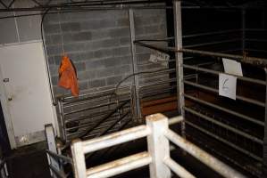 Holding pens - Gretna Quality Meats, Tasmania - Captured at Gretna Meatworks, Gretna TAS Australia.