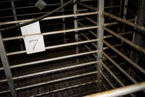Holding pens - Gretna Quality Meats, Tasmania - Captured at Gretna Meatworks, Gretna TAS Australia.