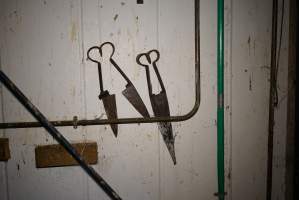 Old sheep shears - Gretna Quality Meats, Tasmania - Captured at Gretna Meatworks, Gretna TAS Australia.