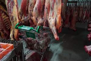 Carcasses in slaughterhouse chiller room - Trolley full of sheep heads. Gretna Quality Meats, Tasmania - Captured at Gretna Meatworks, Gretna TAS Australia.