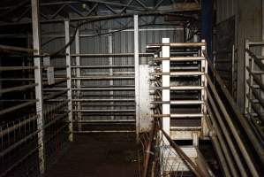 Kill pen at top of ramp next to holding pens - Gretna Quality Meats, Tasmania - Captured at Gretna Meatworks, Gretna TAS Australia.