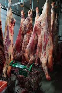 Carcasses in slaughterhouse chiller room - Trolley full of sheep heads. Gretna Quality Meats, Tasmania - Captured at Gretna Meatworks, Gretna TAS Australia.
