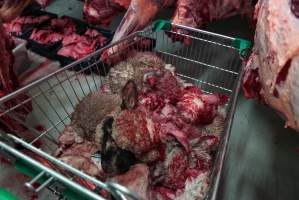Trolley full of sheep heads in slaughterhouse chiller room - Gretna Quality Meats, Tasmania - Captured at Gretna Meatworks, Gretna TAS Australia.