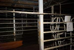 Holding pens - Unloading ramp in background - Captured at Gretna Meatworks, Gretna TAS Australia.