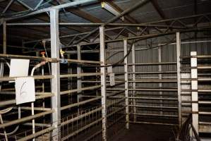 Holding pens - Gretna Quality Meats, Tasmania - Captured at Gretna Meatworks, Gretna TAS Australia.