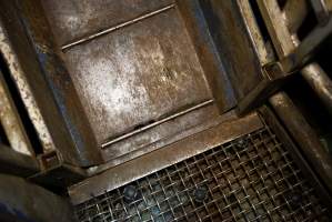Bottom of ramp leading to kill pen - Gretna Quality Meats, Tasmania - Captured at Gretna Meatworks, Gretna TAS Australia.
